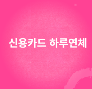 신용카드 하루연체