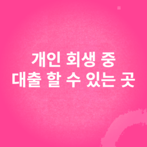 개인 회생 중 대출