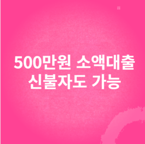 500만원 소액대출