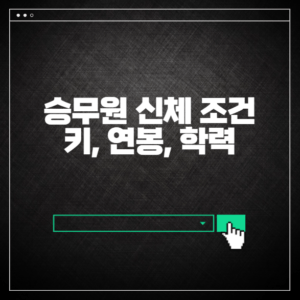 승무원 신체 조건 키 연봉 학력