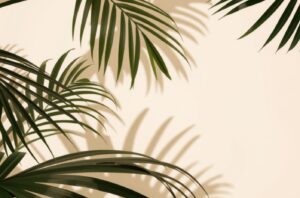 교통사고 보험사 합의 안하면 어떻게 될까요??