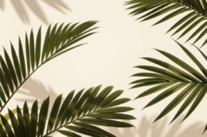 운전자보험 교통사고 위로금 어떤 기준으로 얼마나 ??