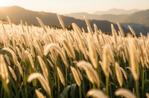 상가 임대사업자 대출 조건과 신청 가이드는??