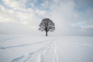 대전 터미널 이마트 주차장 전체 안내