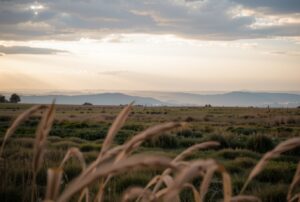 주식 팔고 이체 입금시점은???