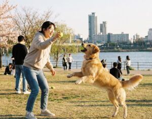 반려견 동물등록 안 하면 벌금 얼마? 확인하고 과태료 피하는 법